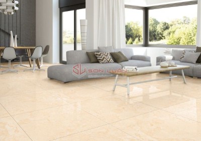 Gạch Ốp Lát APODIO 66222013